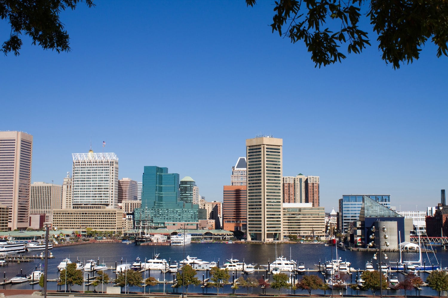 Colonial Heights Property Management